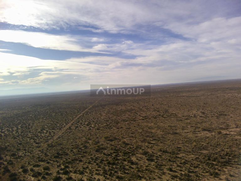 Campo en Venta en Lavalle, Mendoza
