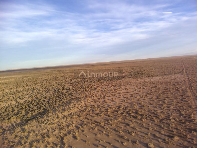 Campo en Venta en Lavalle, Mendoza