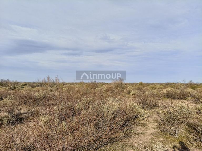 Campo en Venta en Lavalle, Mendoza