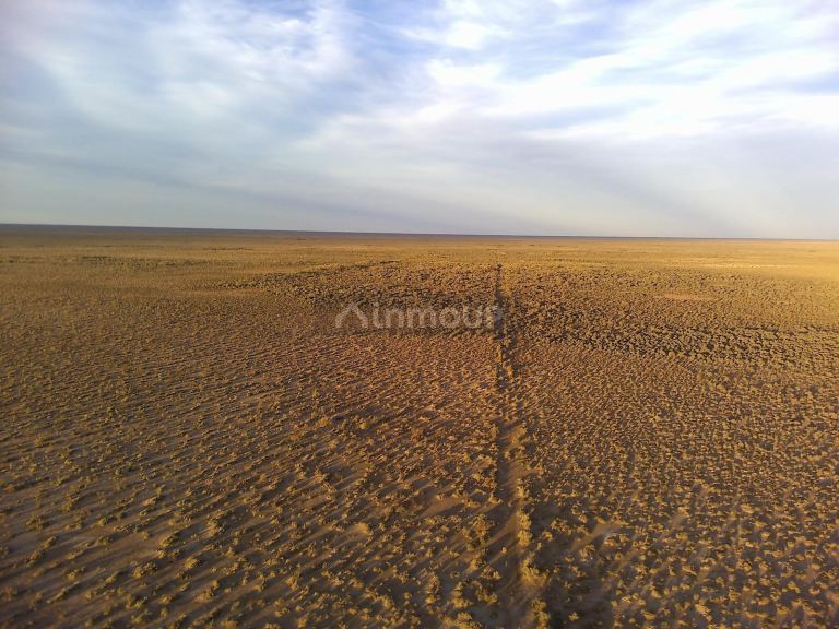 Campo en Venta en Lavalle, Mendoza
