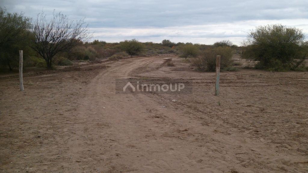 Campo en Venta en Lavalle, Mendoza