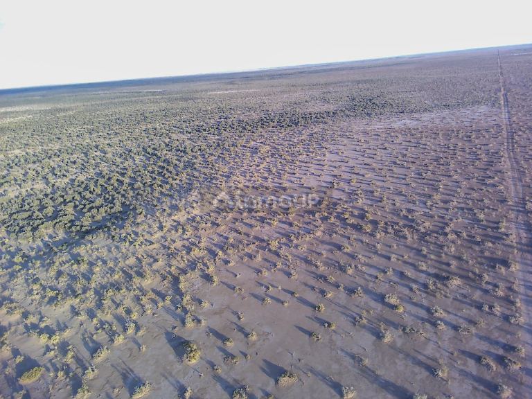 Campo en Venta en Lavalle, Mendoza