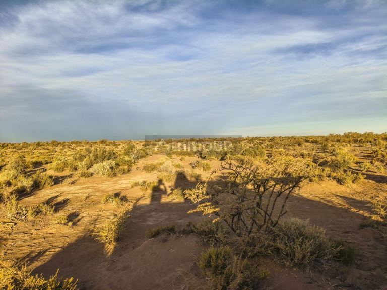 Campo en Venta en Lavalle, Mendoza