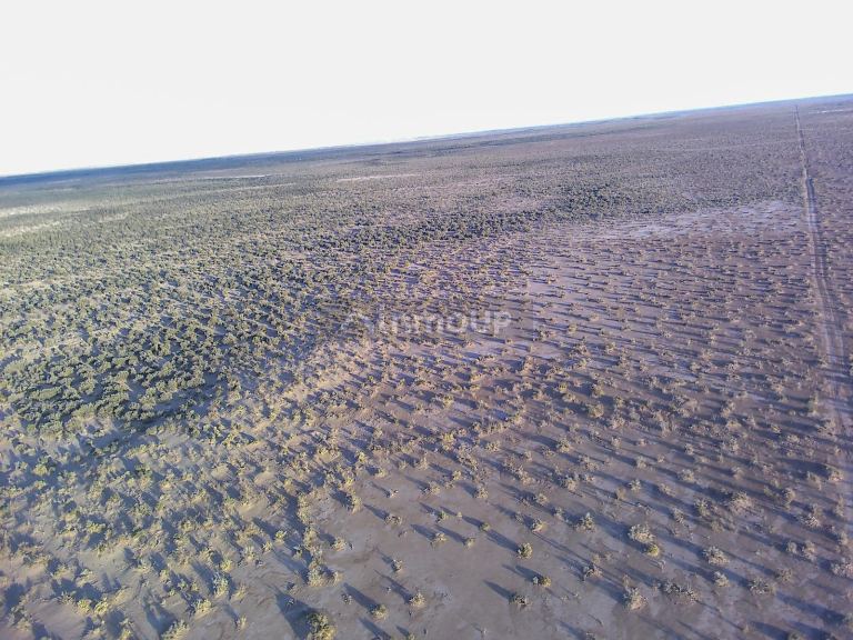 Campo en Venta en Lavalle, Mendoza