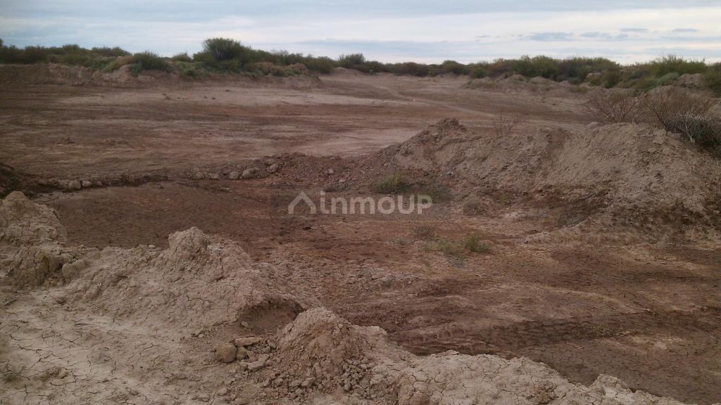 Campo en Venta en Lavalle, Mendoza