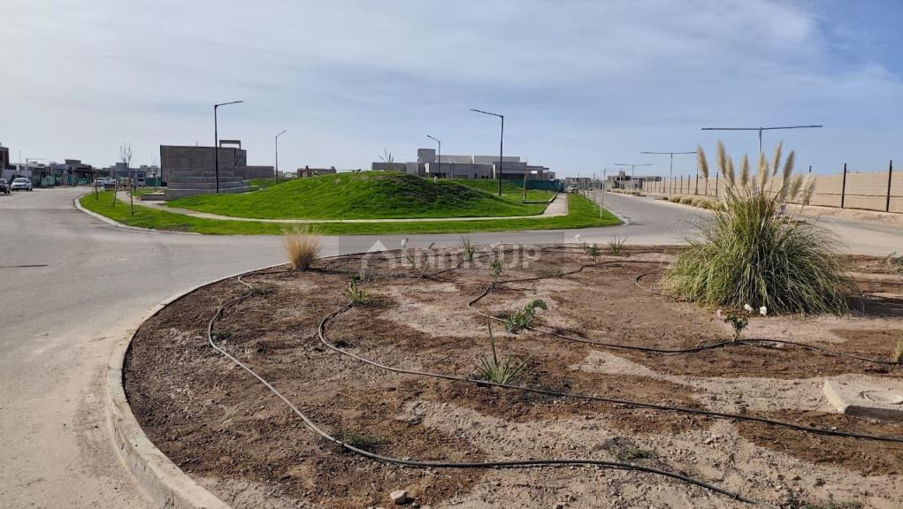Terreno en Venta en Maipu, Mendoza