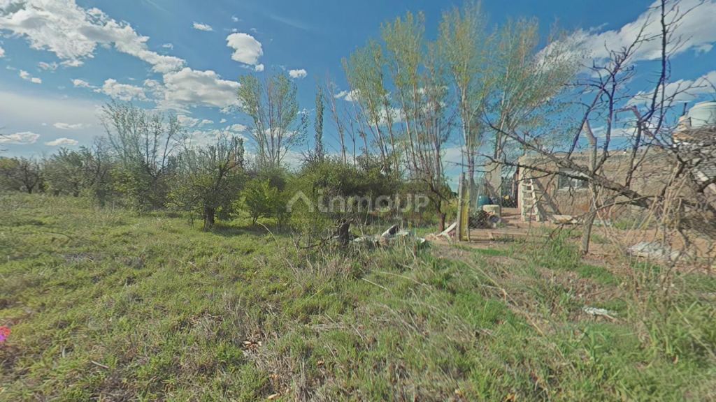 Finca en Venta en Santa Rosa, Mendoza - USD 70.000 | Inmoup - 8