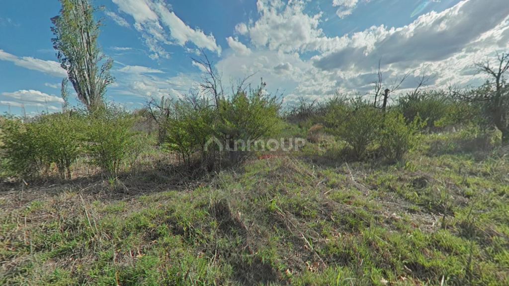Finca en Venta en Santa Rosa, Mendoza - USD 70.000 | Inmoup - 6