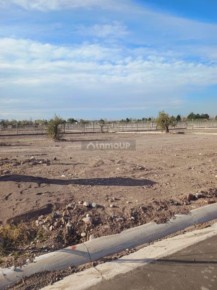 Lote en Venta en Lujan de Cuyo, Mendoza