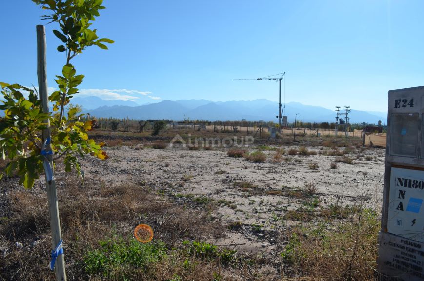 Lote en Venta en Lujan de Cuyo, Mendoza