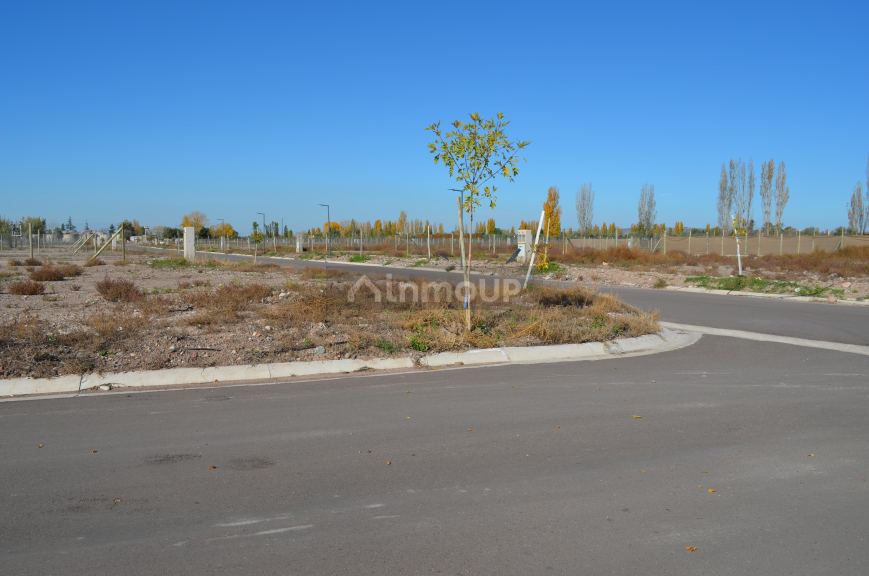 Lote en Venta en Lujan de Cuyo, Mendoza
