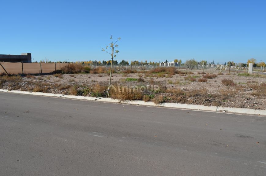 Lote en Venta en Lujan de Cuyo, Mendoza