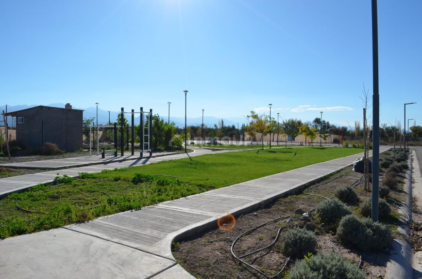 Lote en Venta en Lujan de Cuyo, Mendoza