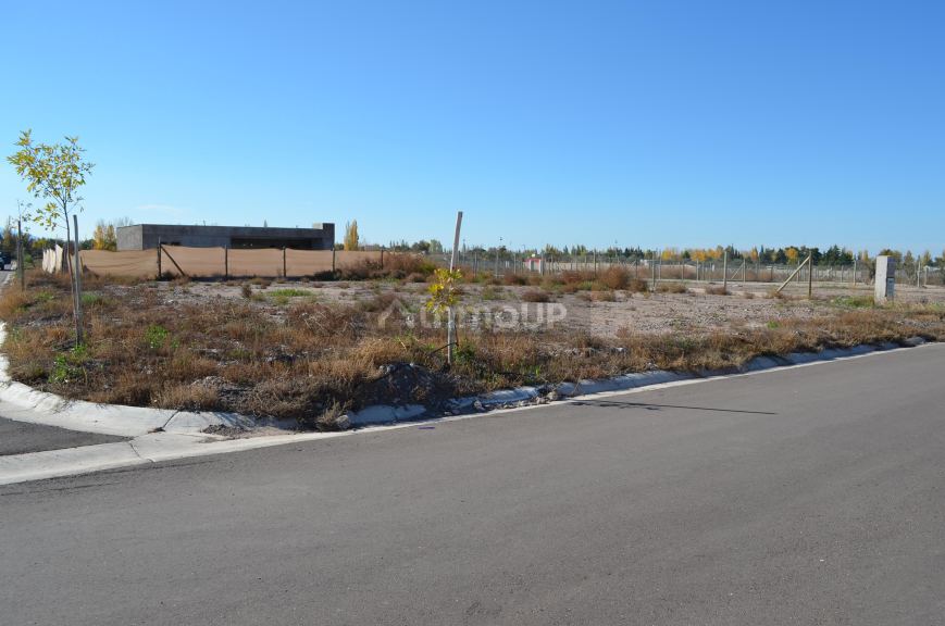 Lote en Venta en Lujan de Cuyo, Mendoza