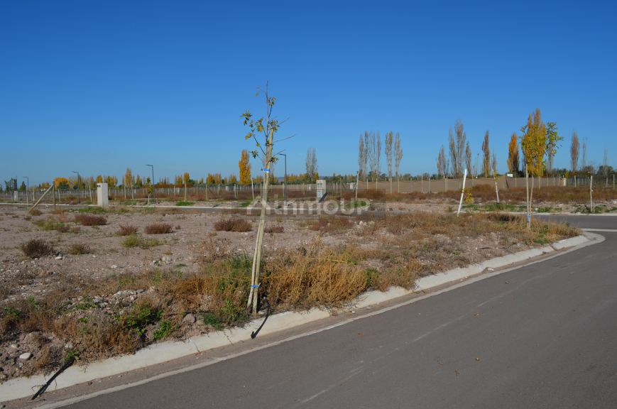 Lote en Venta en Lujan de Cuyo, Mendoza