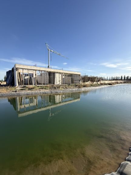 Lote en Venta en Lujan de Cuyo, Mendoza