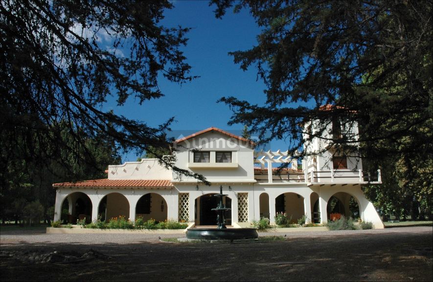 Viñedo en Venta en Tunuyan, Mendoza