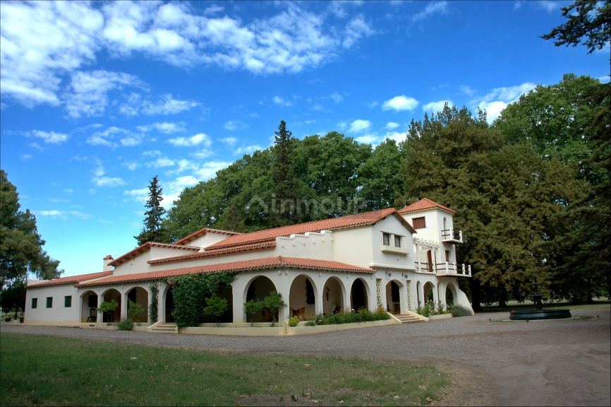 Viñedo en Venta en Tunuyan, Mendoza