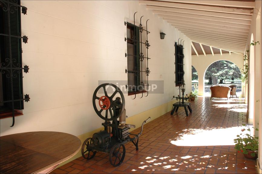 Viñedo en Venta en Tunuyan, Mendoza
