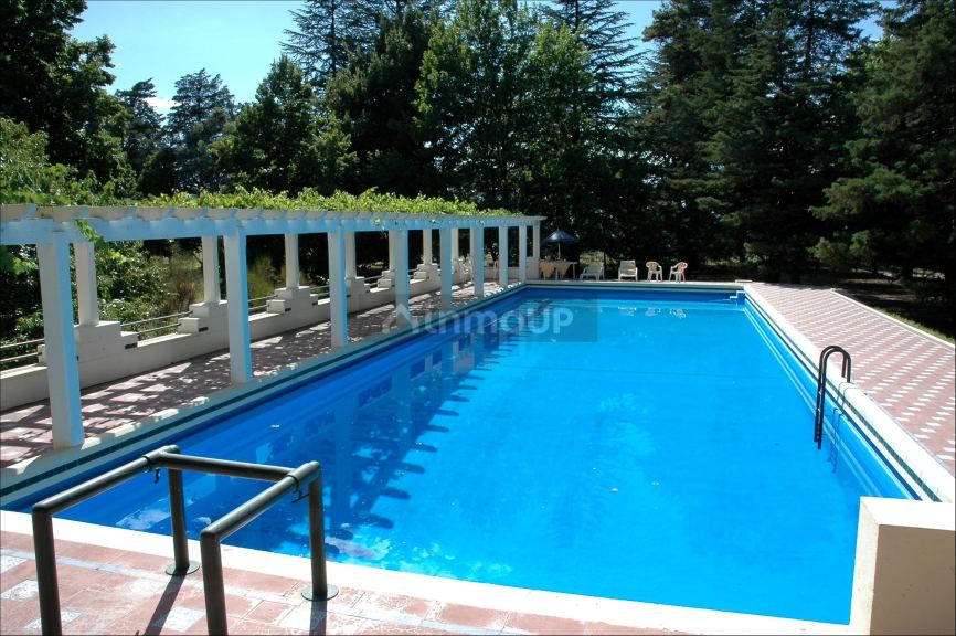 Viñedo en Venta en Tunuyan, Mendoza
