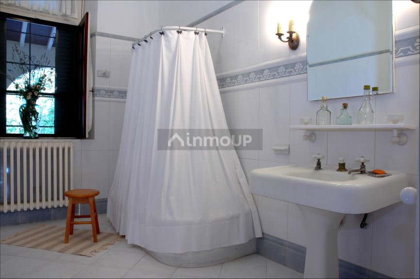 Viñedo en Venta en Tunuyan, Mendoza