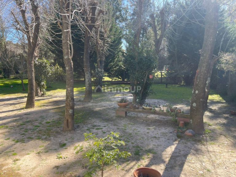 Casa en Venta en Presidente Peron, G.B.A. Zona Sur