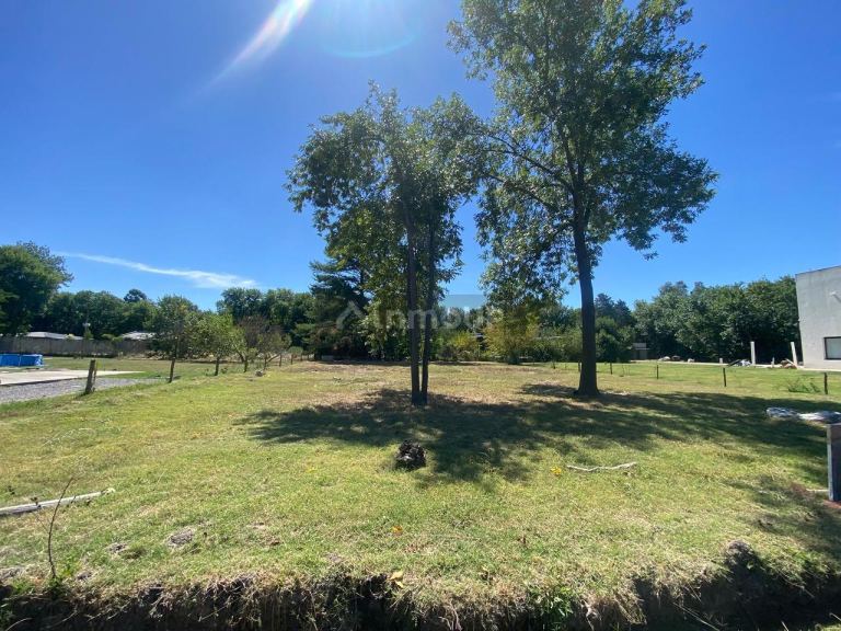 Terreno en Venta en Presidente Peron, G.B.A. Zona Sur