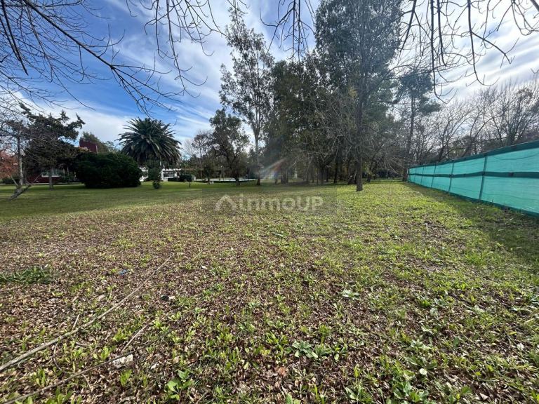 Terreno en Venta en Presidente Peron, G.B.A. Zona Sur