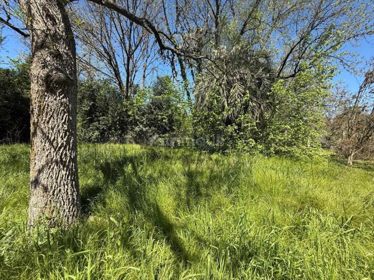 Terreno en Venta en Presidente Peron, G.B.A. Zona Sur