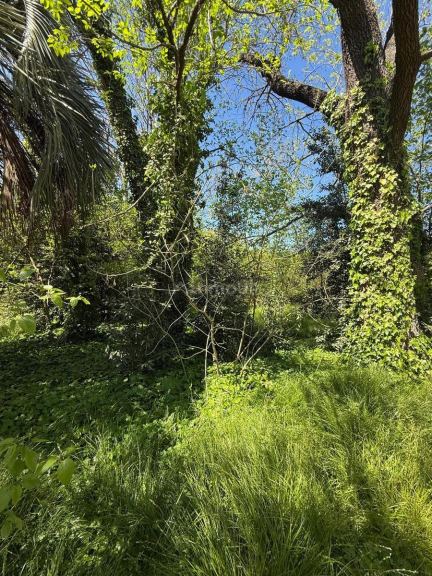 Terreno en Venta en Presidente Peron, G.B.A. Zona Sur