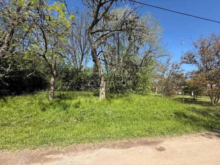 Terreno en Venta en Presidente Peron, G.B.A. Zona Sur