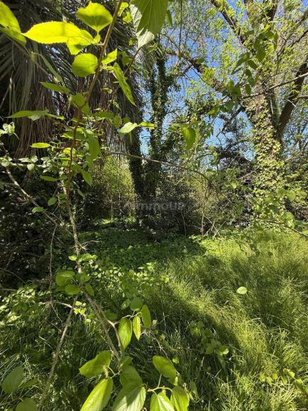 Terreno en Venta en Presidente Peron, G.B.A. Zona Sur