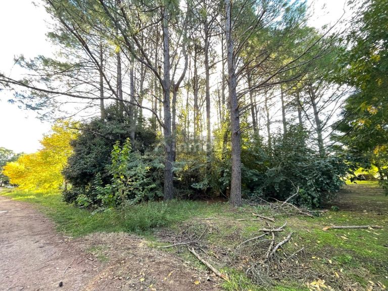 Terreno en Venta en Presidente Peron, G.B.A. Zona Sur