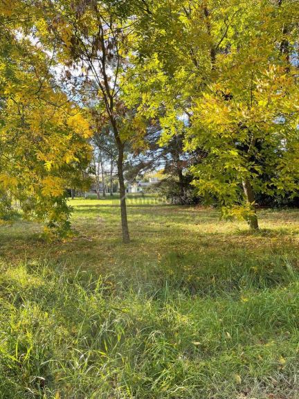 Terreno en Venta en Presidente Peron, G.B.A. Zona Sur