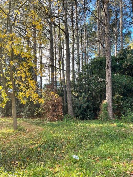 Terreno en Venta en Presidente Peron, G.B.A. Zona Sur