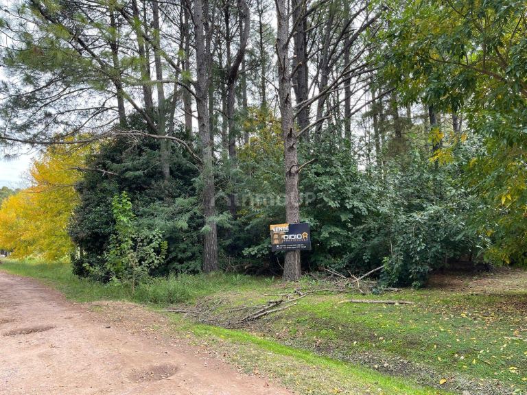 Terreno en Venta en Presidente Peron, G.B.A. Zona Sur