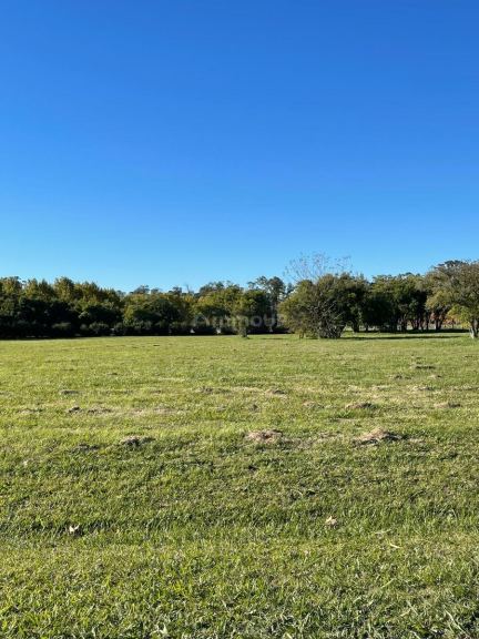 Terreno en Venta en Ezeiza, G.B.A. Zona Sur