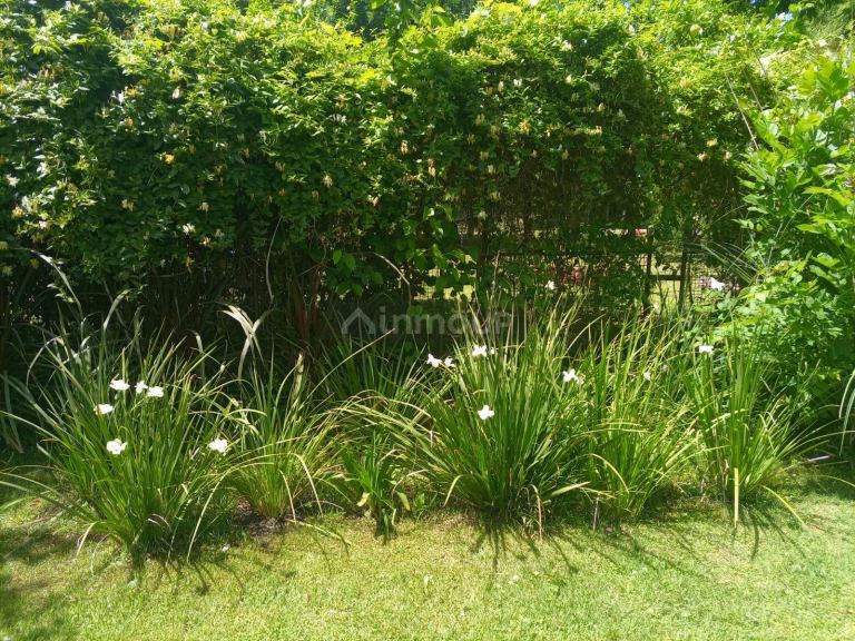 Casa en Venta en Presidente Peron, G.B.A. Zona Sur