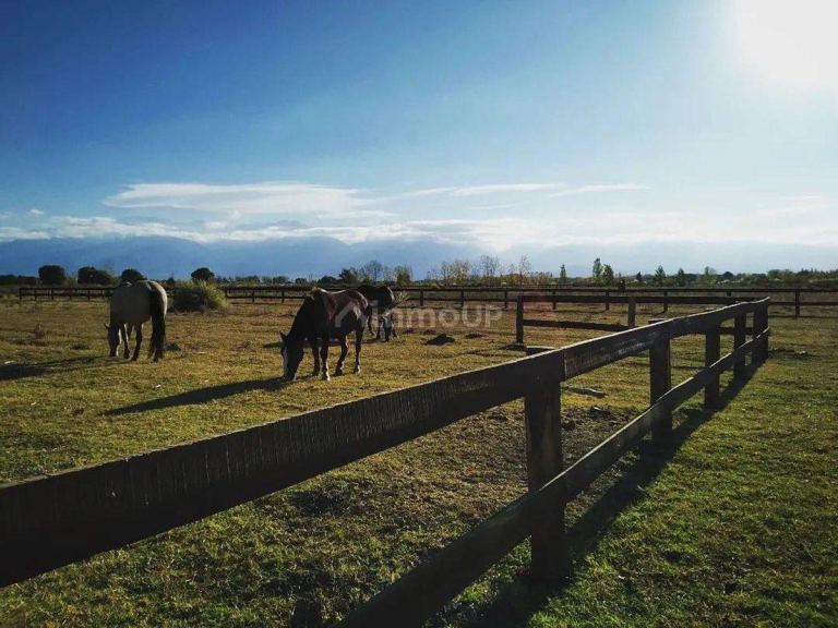 Lote en Venta en Tunuyan, Mendoza