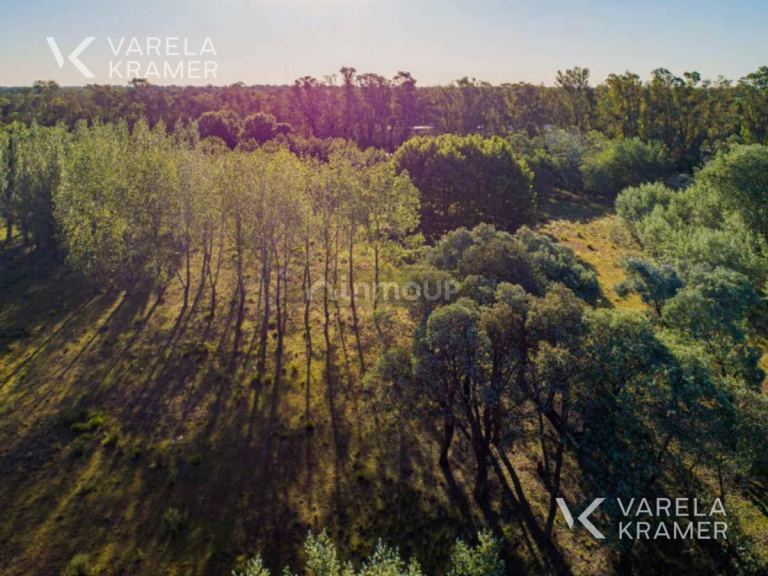 Terreno en Venta en Pilar, G.B.A. Zona Norte