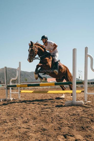 Lote en Venta en Capital, Mendoza