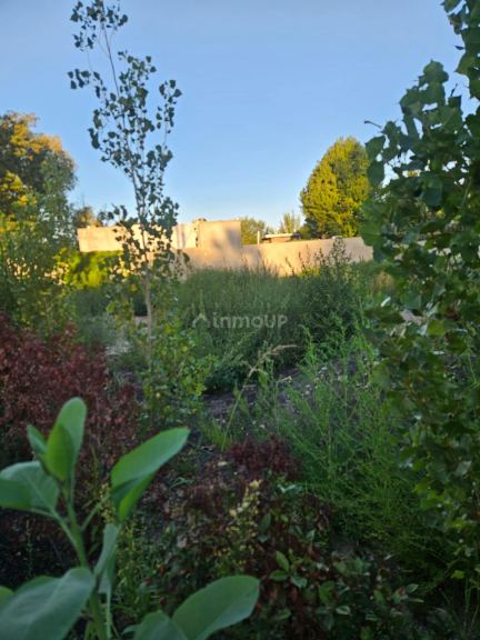 Lote en Venta en Lujan de Cuyo, Mendoza