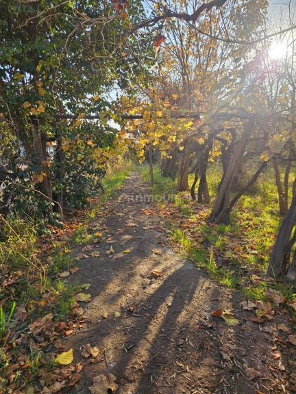 Lote en Venta en Guaymallen, Mendoza