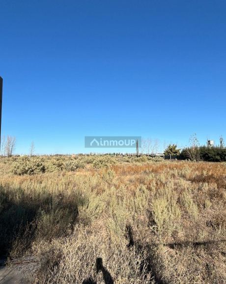 Lote en Venta en San Rafael, Mendoza