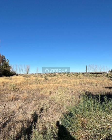 Lote en Venta en San Rafael, Mendoza