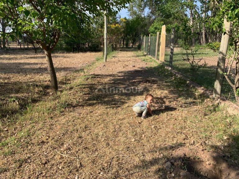 Lote en Venta en Lujan de Cuyo, Mendoza
