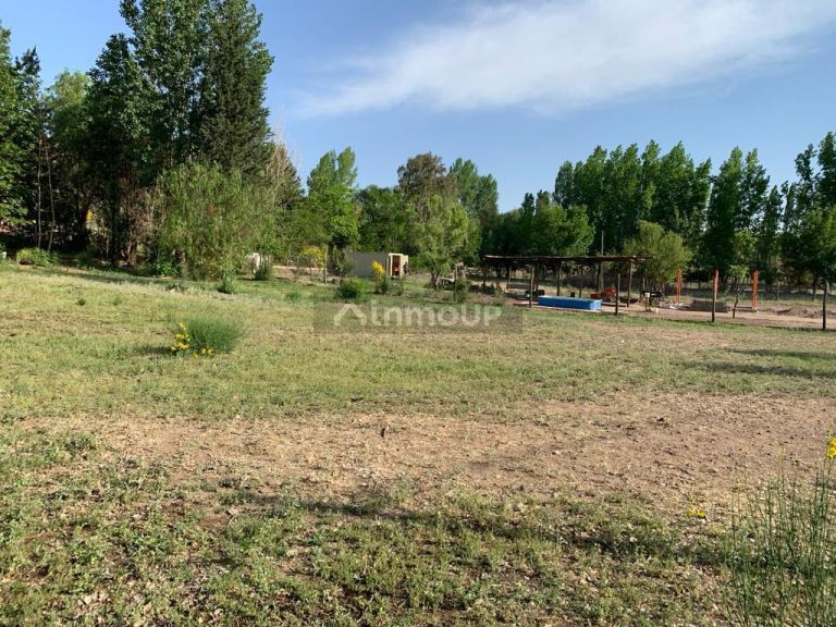 Lote en Venta en Lujan de Cuyo, Mendoza