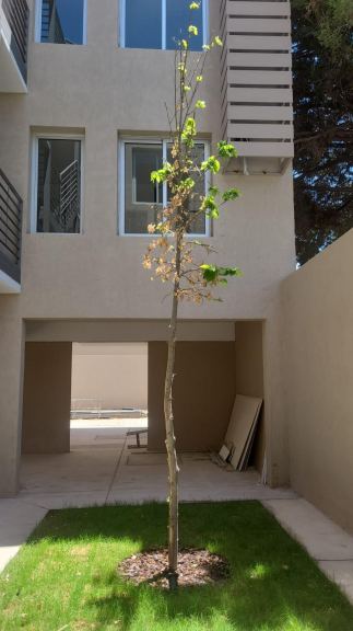Departamento en Venta en Godoy Cruz, Mendoza