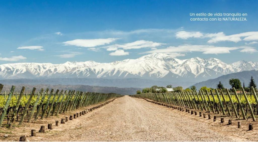 Lote en Venta en Lujan de Cuyo, Mendoza