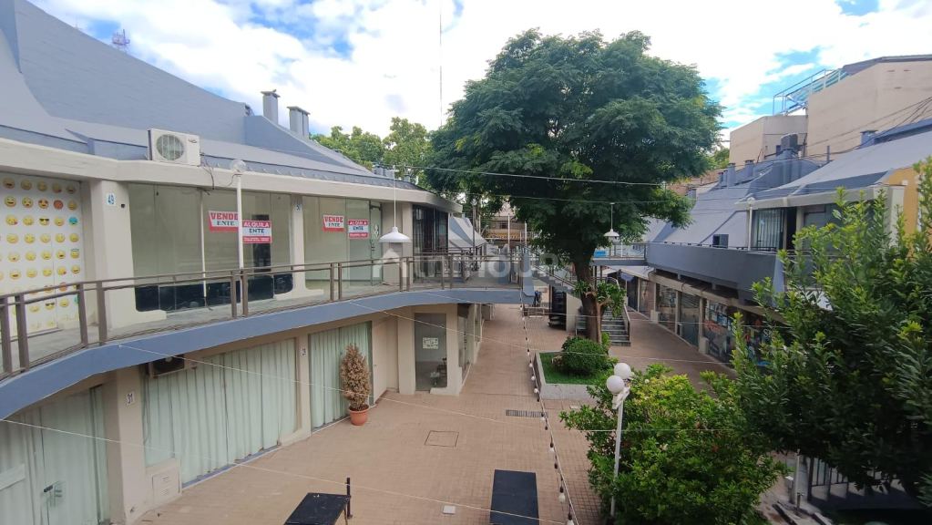 Local Comercial en Alquiler en Capital, Mendoza